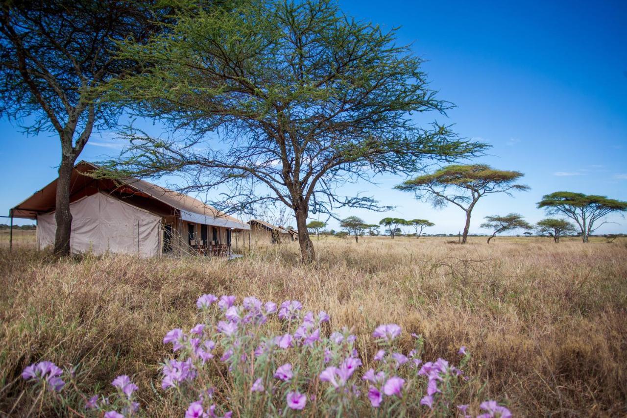 Mawe Tented Camp 세렝게티 외부 사진