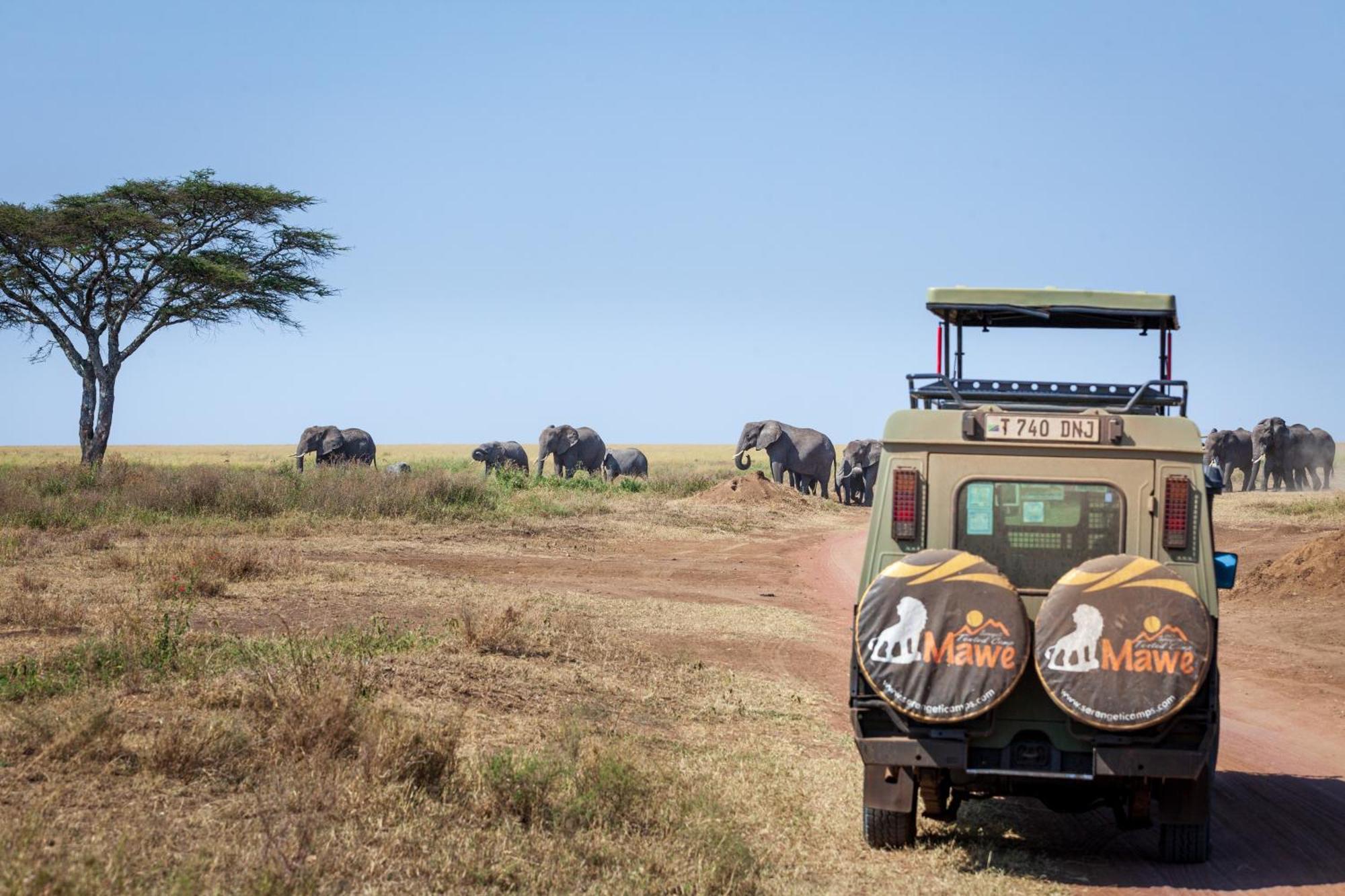 Mawe Tented Camp 세렝게티 외부 사진