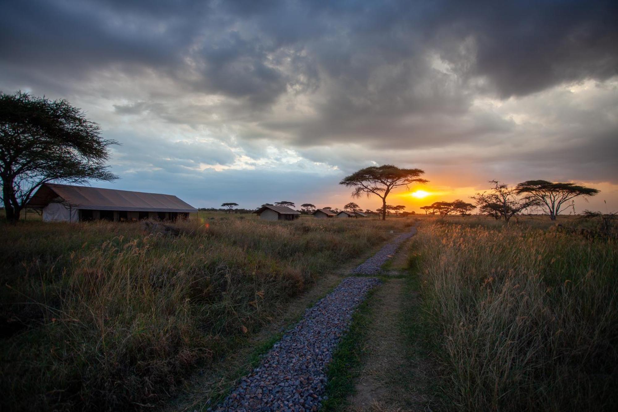 Mawe Tented Camp 세렝게티 외부 사진